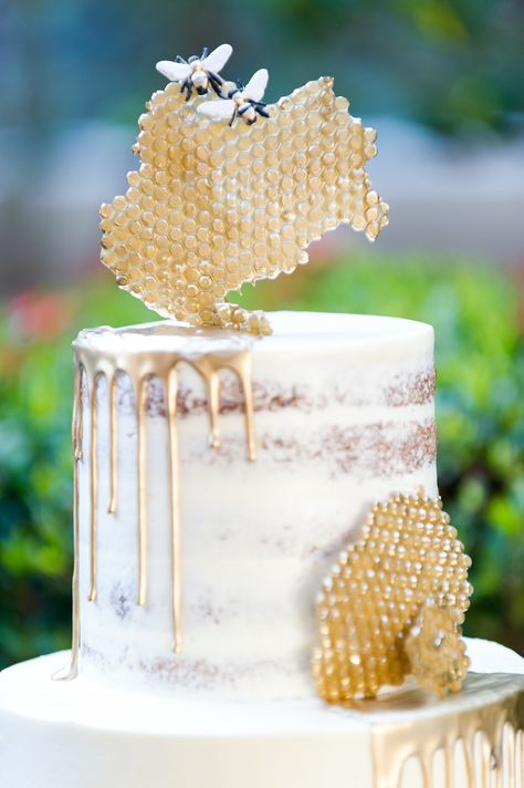 Bumble Bee Inspired, Semi Naked Wedding Cake, White Frosting, Gold Drip and Honeycomb, Bumblebees | Historic Hyde Park Wedding Venue Epicurean Hotel in South Tampa | Tampa Bay Wedding Photographer Andi Diamond Photography | Cake Decorator The Artistic Whisk Honey Bee Baby Shower, Bee Wedding, Bee Birthday Party, Bee Cakes, White Frosting, Bee Party, Bee Birthday, Tampa Wedding