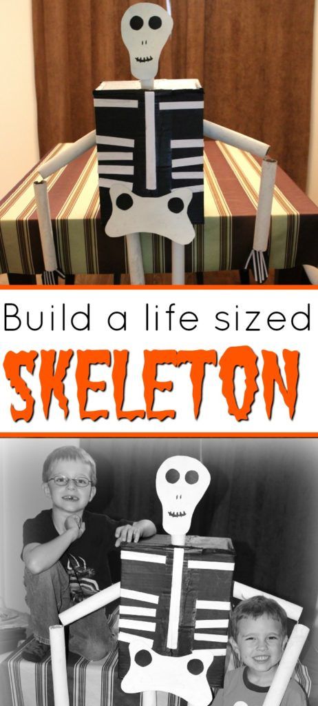 Skeleton Hiccups, Halloween Skeleton Craft, Doctor Activities, Skeleton Crafts, Upcycle Cardboard, Diy Halloween Skeleton, Life Size Skeleton, Cat Enrichment, Skeleton Craft