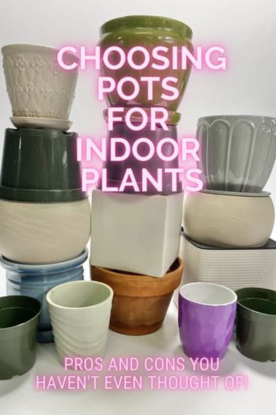 Indoor Plant Pot Types: 5 Great Choices w/ Pros & Cons! Best Planters For Indoor Plants, House Plant Pots Indoor, Pots For Indoor Plants Ideas, How To Pot A Plant, Indoor Plants Pots Ideas, Potting Indoor Plants, House Plants Pots, Best Pots For Indoor Plants, Pot Size For Plants