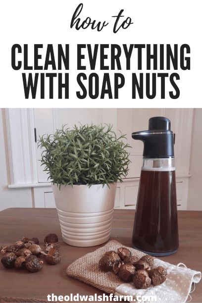 Soap nuts are an incredibly inexpensive, eco-friendly and non-toxic cleaner. Here's how you can use soap nuts to get your entire home sparkling clean. Soap Nuts Recipes, Soap Nuts Shampoo, Healthy Cleaning Products, Soap Berries, Homesteading Tips, Homemade Cleaning Supplies, Diy Cleaning Products Recipes, Diy Cream, Soap Nuts