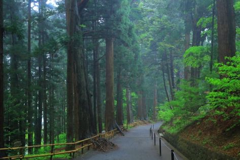 Sendai Japan, Japan History, Ancient Buildings, Sendai, Nagoya, Ancient Cities, Unesco World Heritage Site, Tourist Destinations, Great View