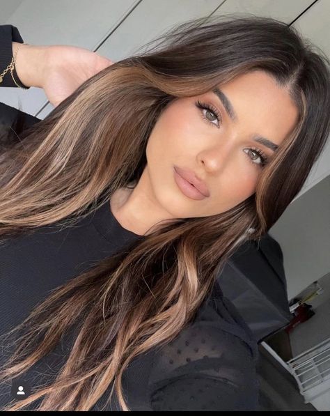 Dark Hair Blonde Face Framing, Dark Brown Hair With Face Frame Highlights, Soft Brown Balayage Subtle Highlights, Dark Hair W Money Piece, Brunette Face Frame Highlights, Black Hair With Brown Ombre, Hair Colour Summer 2024, Dark Brown Hair With Brown Money Piece, Brown With Face Framing Highlights