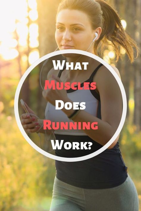 Muscles In The Body, Cardiovascular Exercises, Rectus Abdominis Muscle, Gluteal Muscles, Whole Body Workouts, Benefits Of Running, Cardio Boxing, Running Routine, Heavy Weight Lifting