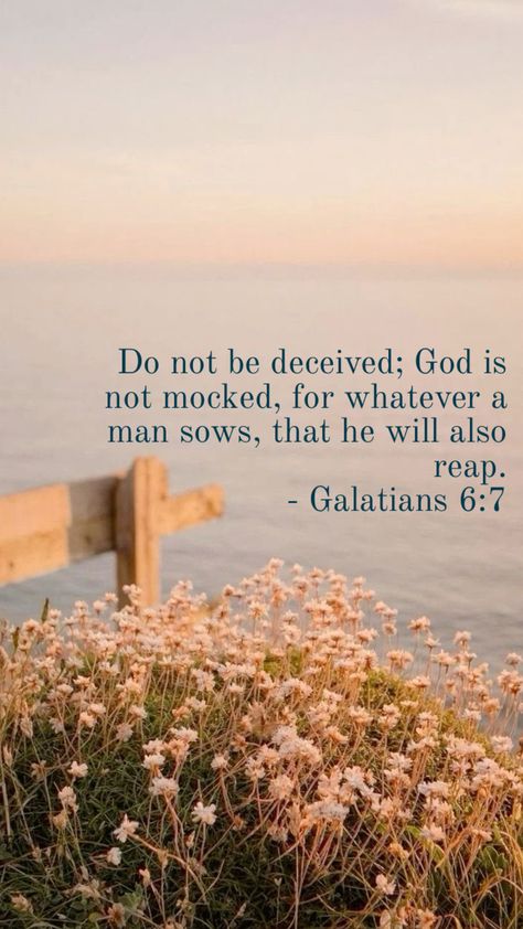 Galatian 6:7 Galatians 6 7, Do Not Be Deceived, Galatians 6, Bible Verse Background, Bible Notes, Read Bible, Quotable Quotes, Quotes About God, Bible Quotes