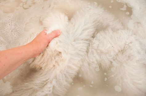 Lamb Skin Rug, How To Clean A Sheepskin Rug, How To Wash Sheepskin Rug, How To Clean Sheep Skin Rug, Sheep Skin Rug, Heat Brush, Pet Brush, Sheep Skin, Dirty Dishes