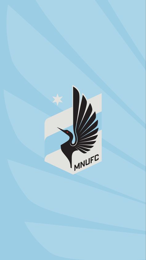 Minnesota Utd of the USA wallpaper. Usa Wallpaper, Minnesota United Fc, Resin Projects, Football Wallpaper, Football Players, Minnesota, Soccer, The Unit, Football