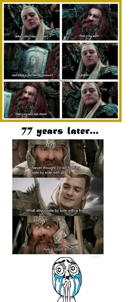 Thranduil The Hobbit, The Hobbit Icons, Lotr Legolas, Hobbit Desolation Of Smaug, Hobbit Funny, Legolas And Gimli, Legolas And Thranduil, Lotr Funny, Into The West