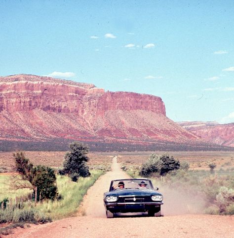 How to Pick the Perfect Roadtrip Partner Americana Aesthetic, Car Scene, Australia Tourism, Perfect Road Trip, 70s Vibes, Long Car Rides, Getaway Car, Cover Art Design, California Dreamin'