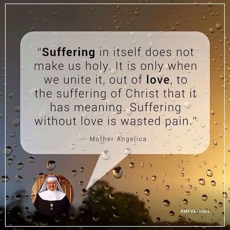 So much human suffering is wasted because we do not offer it to the Father with love. When united with Christ and all of His sufferings especially those during the Passion our sufferings become 'redemptive suffering.' Saint Paul spoke of this. by jesus.loves.tlm Mother Angelica, Having Faith, Saint Quotes Catholic, God Love, Saint Quotes, Lord God, Catholic Quotes, Religious Quotes, Spiritual Inspiration