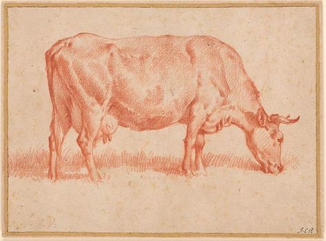 Cow Side View, Cow Grazing, Cow Sketch, Camo Wallpaper, Cow Drawing, Drawing Instruments, Morgan Library, Dutch Painters, The Morgan