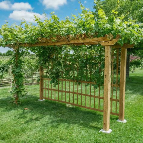 A grape vine trellis is a structure that provides support for grapevines, as the vines are not strong enough to support themselves. The main purpose of a Grape Vine Arches, Pergola With Grapes, Grape Vine Support Ideas, Trellis Ideas For Grape Vines, Muscadine Grape Trellis, Grapevine Arbor Ideas, Garden Vines Trellis, Grape Pergola Ideas, Grapes Garden Ideas