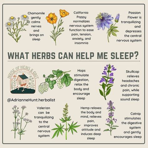 Adrianne Hunt @ Hens and Grit (@adriannehunt.herbalist) • Instagram photos and videos Herbalism For Beginners Natural Remedies, Herb Uses Medicine, Happiness Herbs, Herbalist Aesthetic, Herbalist Garden, Herb Witch, Medical Plants, Medicine Garden, Herbal Education