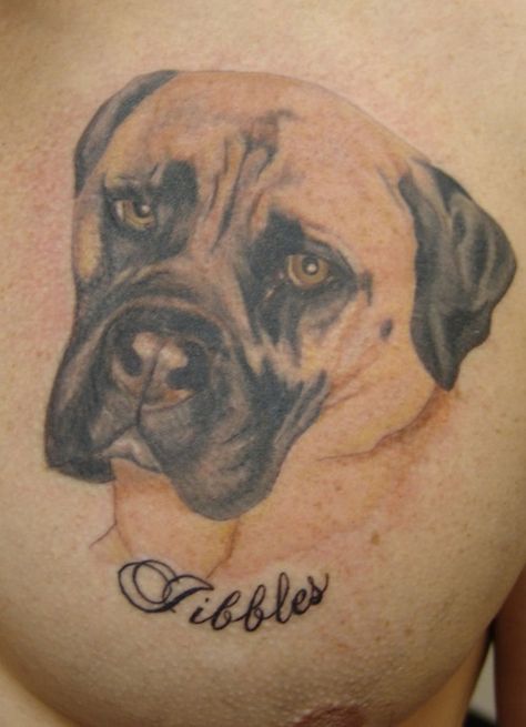 Bullmastiff tattoo English Mastiff Tattoo, Mastiff Tattoo, Tattoo Bull, Bull Mastiff Dogs, Pet Memorial Tattoo, Dog Portrait Tattoo, Portrait Tattoos, Tattoo Dog, Mastiff Dogs