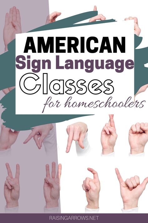 Learn American Sign Language, American Sign Language Phrases, Basic Sign Language For Toddlers, American Sign Language Alphabet, Asl Art, Asl Numbers 1-20 Sign Language, Asl Lessons, Language Classes, Sign Language Lessons