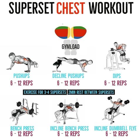 Perky Chest Workout, Superset Chest, Superset Workout, Chest Workout Routine, Nutrition Coaching, Gym Workouts For Men, Ripped Body, Weight Benches, Natural Health Tips