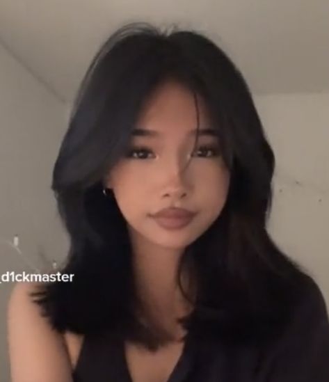 Medium Hair Inspo Aesthetic, Mid Length Hairstyles Layers, Hair Inspo Asian Medium, Medium Length Hair With Curtain Bangs Asian, Haircuts For Silky Hair, Short Layered Haircuts Y2k, Good Haircuts For Oval Faces, Short Hairstyle Inspo Aesthetic, Best Haircut For Glasses