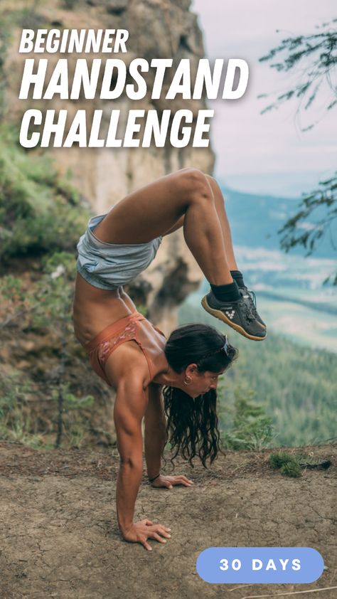 beginner-30-day-handstand-program-callenge Beginners Calisthenics Workout, 30 Day Calisthenics Challenge, Calisthenics Poses, Handstand Beginner, Calisthenics Leg Workout, Full Body Calisthenics Workout, Best Calisthenics Workout, Handstand Press, Start Calisthenics