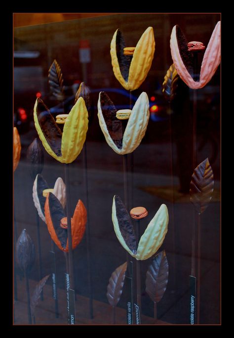 Cocoa Bean Pods by Anne-Lise Chocolate Store Design, Cacao Fruit, Chocolate Boutique, Chocolate Stores, Chocolate Work, Bean Pods, Cacao Chocolate, Chocolate Design, Stall Designs