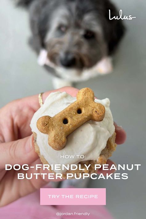 For your fur babe's birthday or just any old day, peanut butter pupcakes are the perfect human-grade treat. Try this easy dog cupcake recipe! Cupcake For Dogs Easy, Single Dog Cupcake Recipe, Cupcake For Dogs, Dog Cupcake Recipe, Cupcakes For Dogs Recipe, Dog Birthday Cupcakes, Pupcake Recipe, Dog Cupcake, Dog Cupcakes