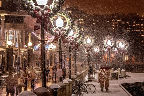 15 Winter Things to Do in Georgetown | Georgetown DC - Explore Georgetown in Washington, DC Dc Christmas, Georgetown Dc, Outdoor Ice Skating, Winter Things, Cozy Fireplace, Holiday Lights, Ice Skating, All Things Christmas, Botanical Gardens