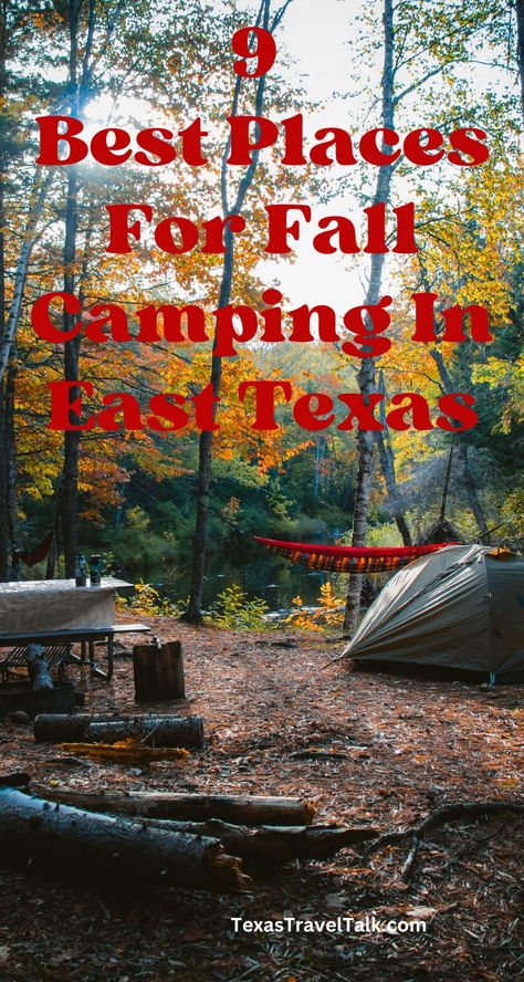 Texas Camping Spots, Best Rv Parks In Texas, Camping Texas, Texas Camping, Caddo Lake State Park, Hiking In Texas, Yurt Camping, Romantic Camping, Texas Tea