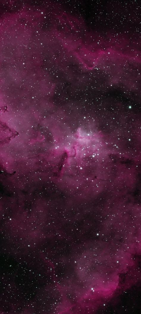 Melotte 15 in the Heart of the Heart Nebula by Daniel Pastenak cropped mobile wallpaper 1080x2400 Pink Galaxy Wallpaper, Galaxy Wallpaper 4k, Pink Galaxy Background, Nebular Hypothesis, Pink Constellation, Heart Nebula, Pink Nebula, Galaxy Heart, Planet Project