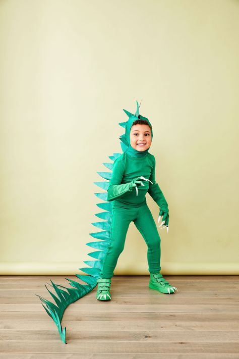 Toddler dinosaur costume