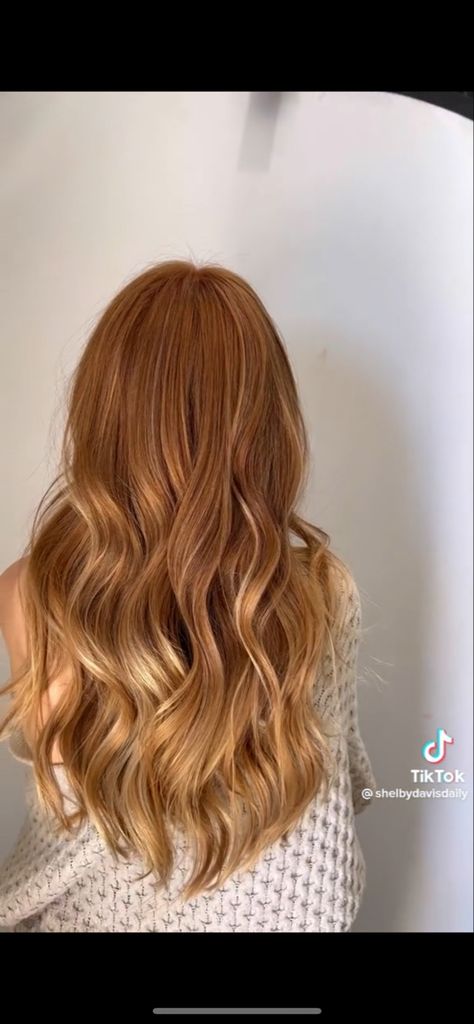 Ginger With Balayage, Dark Ginger With Blonde Highlights, Golden Red Hair Color, Cooper Blonde, Ginger Hair With Highlights, Hair Inspo Dye, Golden Red Hair, Europe Hair, Dye Highlights