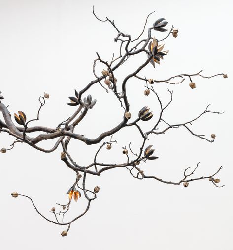 David Wiseman | Illuminated Branch Sculpture, Desert Yucca Bloom Branch Aesthetic, David Wiseman, Branch Sculpture, Flower Branches, Dry Branch, Modern Hanbok, Happy Birthday Frame, Blooming Trees, Asian Painting