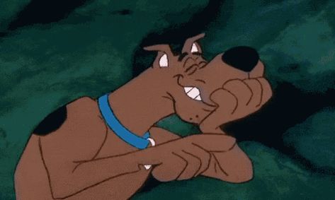 Scooby Laugh GIF - Tenor GIF Keyboard - Bring Personality To Your Conversations | Say more with Tenor Cartoon Dog, Scooby Doo, Animated Gif, Gif