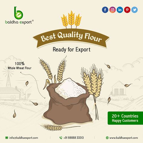 Baldha Export: Best Quality Flour Flour Bread, Baking Homemade, Food Baking, Bread Food, Super Market, Happy Customer, Salt Dough, Whole Wheat Flour, Whole Wheat