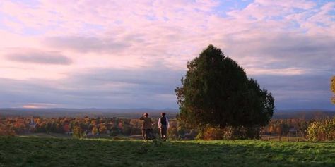 (1) Home / Twitter Jo And Laurie, Little Women 2019, Beautiful Cinematography, Woman Movie, Movie Shots, Little Women, Film Inspiration, Great Films, Aesthetic Painting