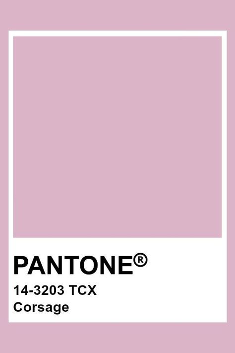 Mauve Pantone, Pantone Tcx, Pantone Color Chart, Pantone Swatches, Pantone Palette, Pantone Colour Palettes, Color Chip, Color Inspo, Colour Board