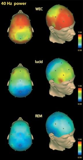 Lucid Dream, Conscious Awareness, States Of Consciousness, Dream Symbols, Astral Projection, Astral Travel, Lost My Job, Dream Interpretation, Brain Waves