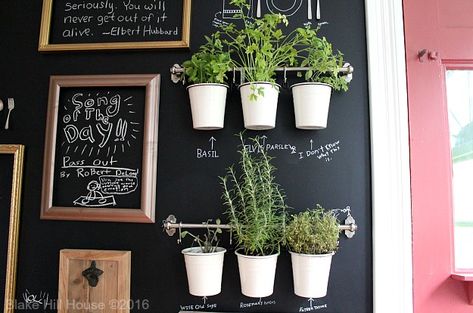 The herb garden on our chalkboard wall.   The Finished Kitchen – Come on In Blackboard Wall Kitchen, Chalkboard Wall Kitchen, Kitchen Blackboard, Cement Tile Backsplash, Kitchen Chalkboard, Herb Wall, Blackboard Wall, School House Lighting, Chalk Wall