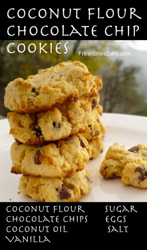 Chocolate Chip Cookie (With Coconut Flour — Gluten Free) Coconut Flour Chocolate Chip Cookies, Coconut Flour Cookies, Grain Free Cookies, Coconut Chocolate Chip Cookies, Baking With Coconut Flour, Coconut Flour Recipes, Postre Keto, Paleo Cookies, Wire Whisk