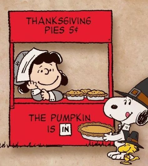 Thanksgiving Snoopy, Peanuts Thanksgiving, Thanksgiving Cartoon, Charlie Brown Thanksgiving, Lucy Van Pelt, Thanksgiving Pies, Peanuts Cartoon, Thanksgiving Greetings, Snoopy Quotes