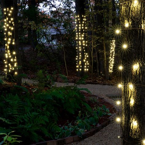 Outdoor Christmas Decorating Ideas - Yard Envy Trees With Lights, Diy Christmas Lights, Christmas House Lights, Wrapped Lights, Net Lights, House Lights, How To Wrap, Led Christmas Lights, Christmas Decorating Ideas