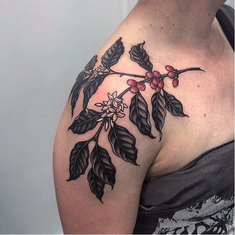 Plant Tattoo Shoulder, Coffee Plant Tattoo, Simple Finger Tattoo, Tattoo Cafe, Common Tattoos, Tattoo Shoulder, Branch Tattoo, Coffee Tattoos, Upper Arm Tattoos