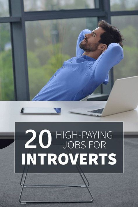 Twenty High Paying Jobs For Introverts | Personality Club Jobs For Introverts, Typing Jobs From Home, Amazon Work From Home, Introvert Personality, Online Jobs For Moms, Amazon Jobs, Introvert Problems, Career Exploration, Creative Jobs