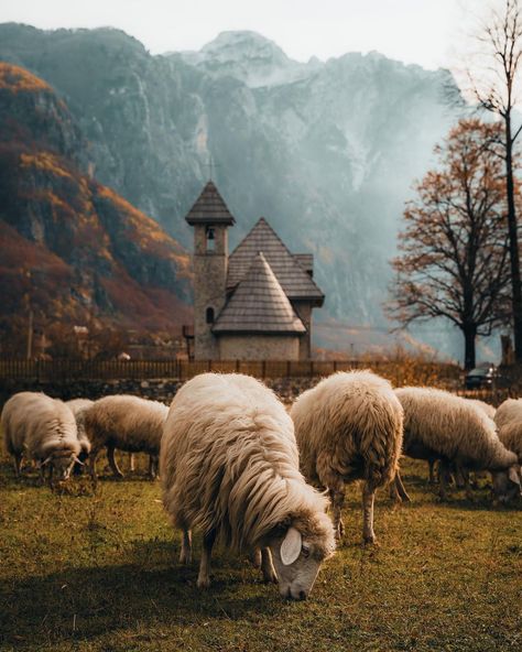 Travel & Landscape - Photography (@giuliogroebert) • Instagram photos and videos Theth Albania, Travel Landscape, September 2, Pretty Pics, Albania, Pretty Pictures, Landscape Photography, Hiking, Instagram Photos