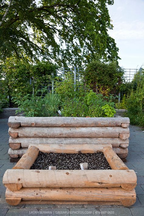 Container garden of "log-cabin" style raised planters. Chicken Moat, Brick Raised Garden Beds, Log Benches, Beautiful Raised Garden Beds, Diy Raised Garden Bed, Raised Garden Bed Ideas, Garden Bed Ideas, Recycled Diy, Beds Diy