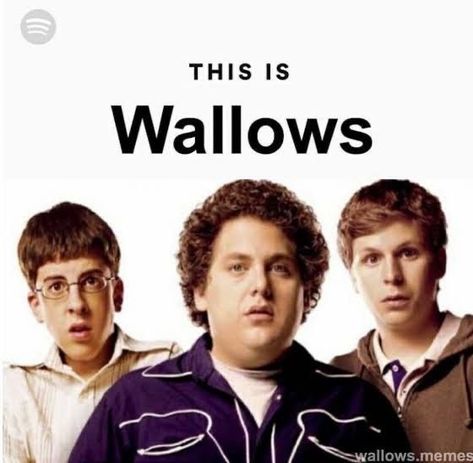 Michel Cera, The Wallows, Michael Cera, Pinterest Memes, Music Memes, I Have No Friends, Silly Me, Just Girly Things, Om Nom