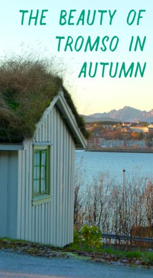 Autumn in the Arctic is such a beautiful time! Click through to find out what Tromso is like during October! Norway Christmas, Rainy Autumn, Tromso Norway, Nighttime Sky, Seasonal Affective, Polar Night, Alesund, Fall Break, Visit Norway