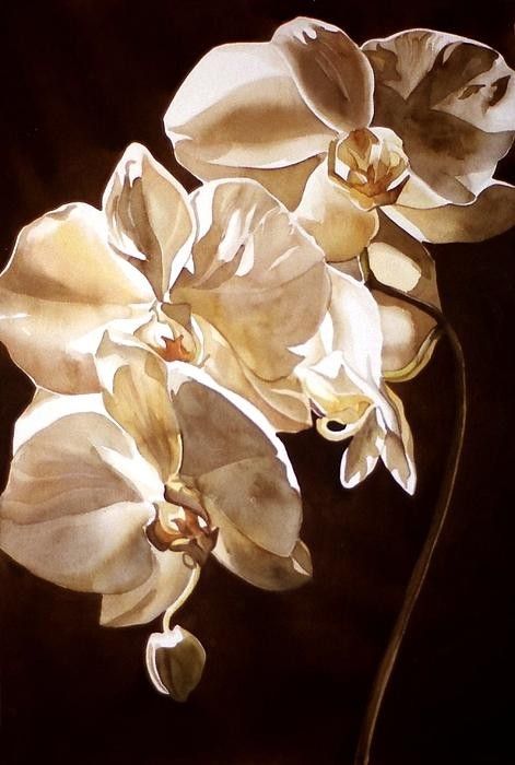 Art of Alfred Ng Orchids And Moonlight, Orchid Drawing, Orchids Painting, Transparent Watercolor, Under The Moonlight, Painting Subjects, Botanical Painting, Painting Flowers, Water Colors