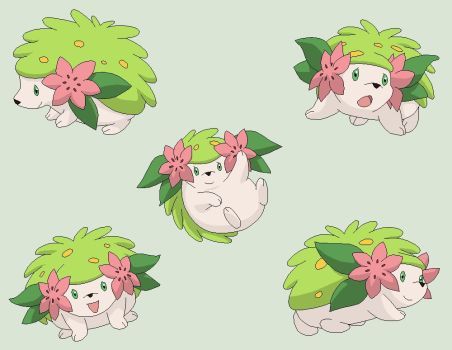 Pokemon Base 66~Shaymin 3~ by Xbox-DS-Gameboy Shaymin Pokemon Art, Shaymin Art, Shaymin Pokemon, Plant Pokemon, Green Pokemon, Trainers Girls, Clay Inspo, Pokemon Tattoo, Cute Pokemon Pictures