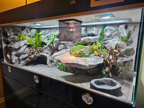 36 Ball Python Enclosure Ideas for Any Budget Snake Tank Setup Ball Python, Snake Terrarium Ideas Ball Python, Python Enclosure Ideas, Ball Python Tank, Ball Python Enclosure Ideas, Ball Python Enclosure, Python Enclosure, Python Tank, Reptile Background