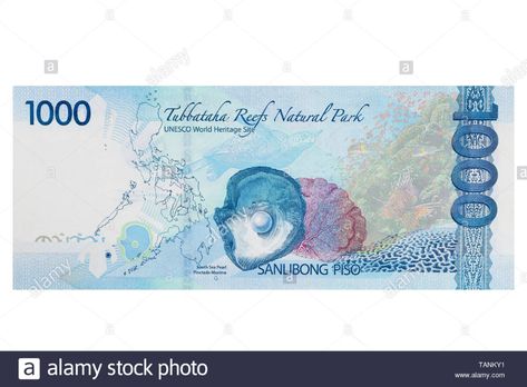 Philippine one thousand peso banknote on a white background Stock Photo: 247568357 - Alamy One Thousand Pesos Philippines, Thousand Dollar Bill, 1000 Peso Bill Philippines, Philippine Peso, Disney Princess Memes, Banknotes Money, Dinosaur Cake Toppers, Flamingo Birthday Party, Cute Eyes Drawing