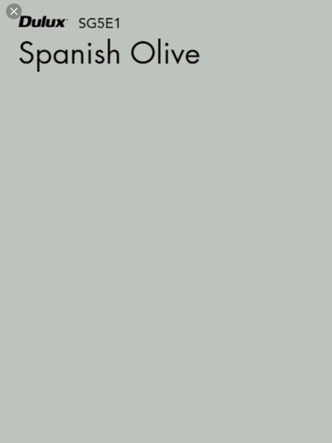 Dulux Spanish Olive, Pantry Upgrade, Golf Crest, Spanish Olives, House Colours, Green Colour Palette, Green Colour, Boys Room, Colour Schemes