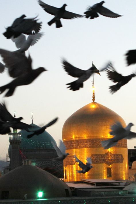 The Golden Dome of Imam Reza shrine, Mashhad, Iran (Islamic Art) Imam Reza Shrine, Imam Reza Shrine Photography, Mashhad Iran, Imam Hussain Karbala, Imam Reza, Golden Dome, Hazrat Imam Hussain, Photography Inspiration Nature, Imam Hussain Wallpapers